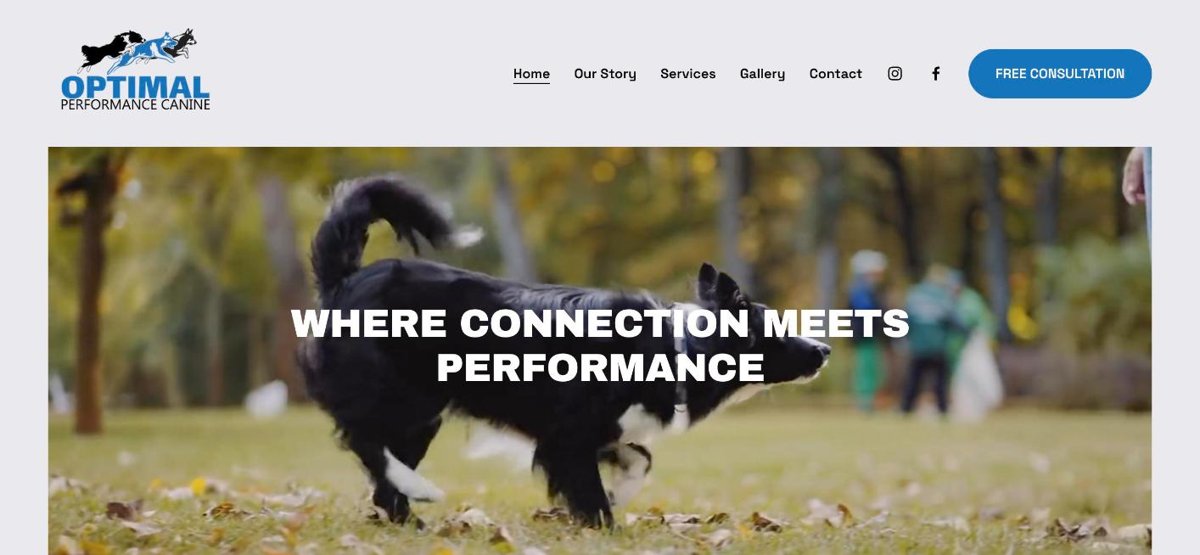 Optimal Performance Canine homepage